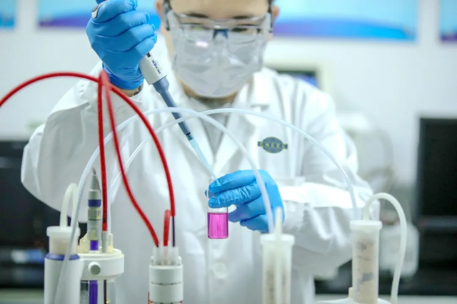 1736126538352.jpg 1736126538352.jpg